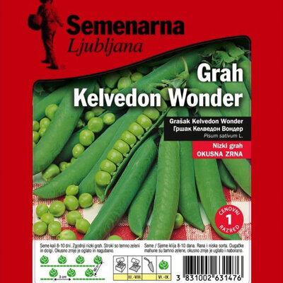 Seme za Grašak kelvedon - Pisum sativum L. 100g