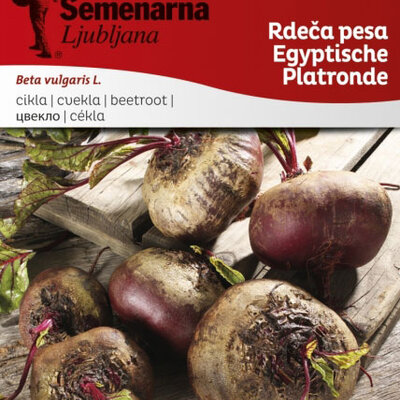 Cvekla egipatska - seme - Beta vulgaris L. var. conditiva 50g
