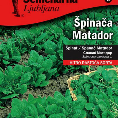 Seme za Spanać matador - Spinacea oleracea L. 50g