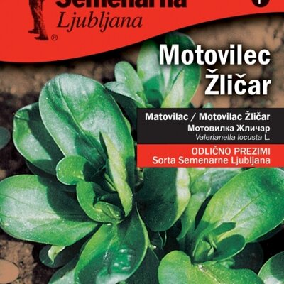 Seme za Matovilac žličar - Valerianella locusta 458