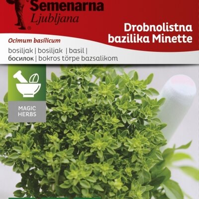 Seme za začinsko bilje - Grčki Bosiljak - Ocimum basilicum L. 1080