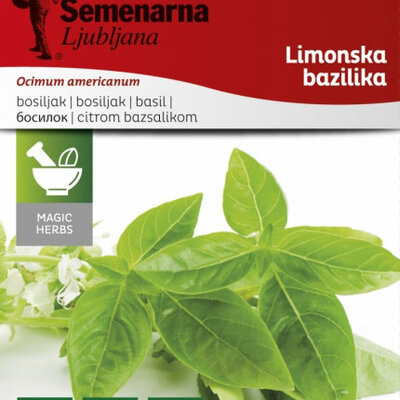 Seme za začinsko bilje - Limunski Bosiljak - Ocimum basilicum L. 1081