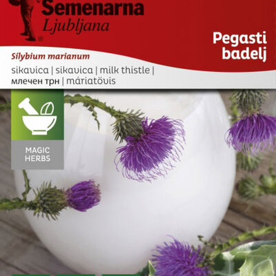 Sikavica - Silybium marianum - seme 1088