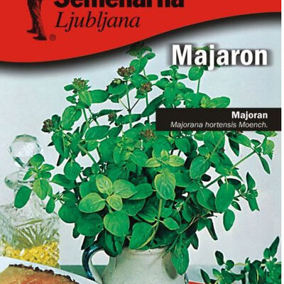 Seme za začin - Majoran - Majorana hortensis Moench. 1094