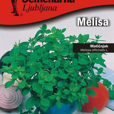Matičnjak - Melissa officinalis L. - seme 1120