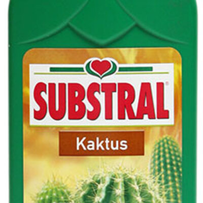 Substral Tečno đubrivo za kaktuse 250ml
