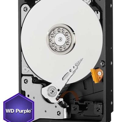 Western Digital Hard disk Purple 2TB WD20PURZ 0130726