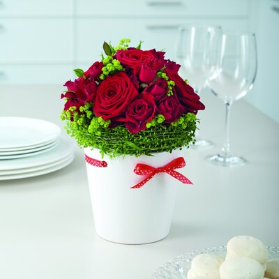 Soendgen keramička saksija Pretty 14cm sa crvenom mašnom