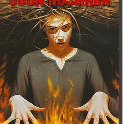 Soba Košmara 3 : Zovem Se Zlo, R.L. Stajn