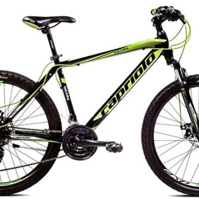 Muški Bicikl Capriolo Oxygen 26/21HT 917421-18