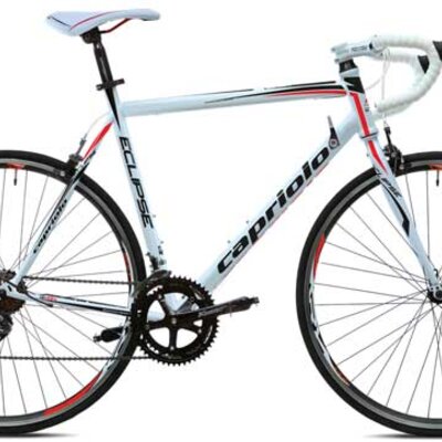 Muški bicikl Capriolo Eclipse 700/14HT 56 916616-56