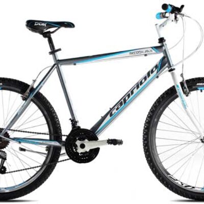 Muški bicikl Capriolo Passion Man 26/18HT 916372-19