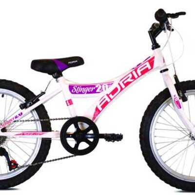 Dečiji bicikl Adria Stinger 20/6HT 916168-11