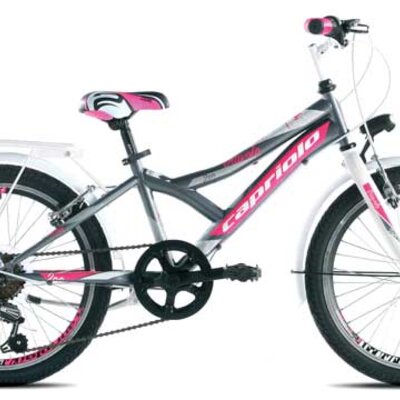 Dečiji bicikl Capriolo Diavolo 200 CITY 20/6HT 916297-11