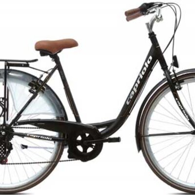 Ženski bicikl Capriolo Diana City 28/6HT 915755-20