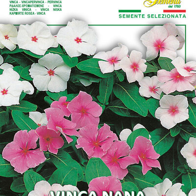 Cveće Vinka mix - seme 5 kesica Franchi Sementi Virimax