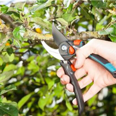 Gardena Comfort makaze za orezivanje GA 09805-20