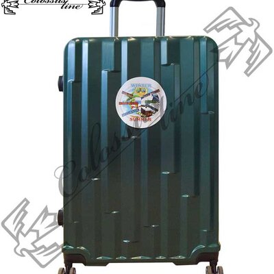 ABS Kofer sa točkićima i teleskopskom ručkom 27x46x66 GL-992 Zeleni