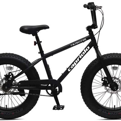 Bicikl Capriolo FatBoy 20 916201-11
