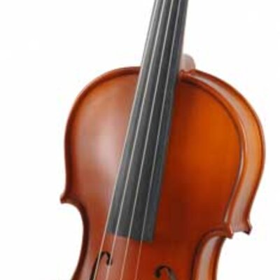 Gewa Pure Outfit HW violina 4/4