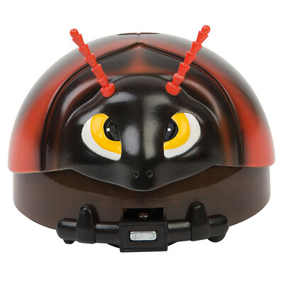 Brze bubice - bubica