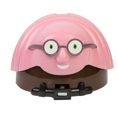 Brze bubice - crvić