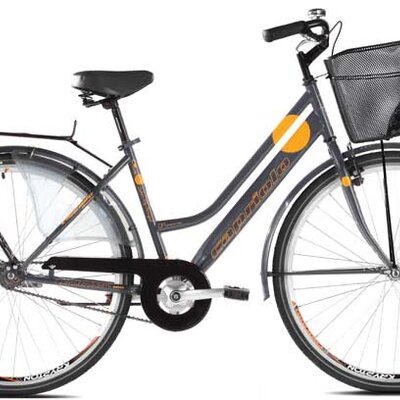 Bicikl Capriolo Amsterdam Lady grafit 916282-18