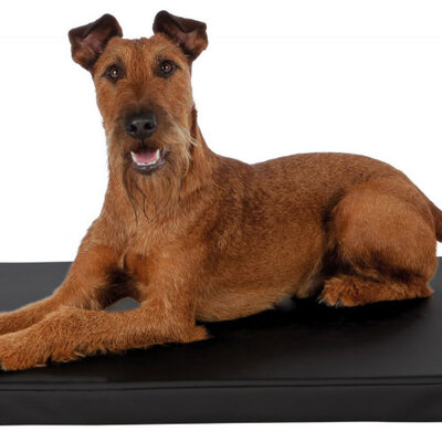 Jastuk za pse od eko kože 120cm Samoa Sky Black Trixie 28403