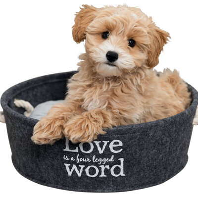 Krevet za male pse ili mačke 37cm Lian Trixie 38395