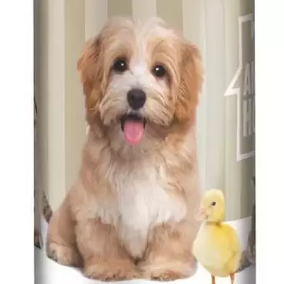 STALCI ZA KIŠOBRANE