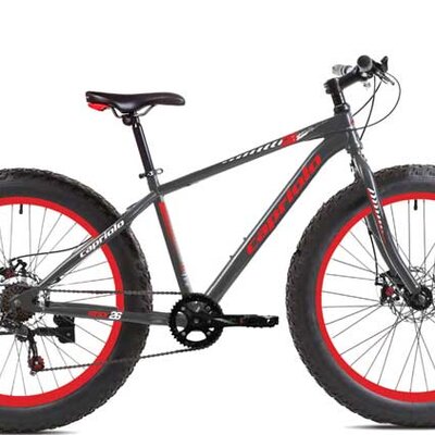 Bicikl Capriolo Fat Boy 26 917201-19