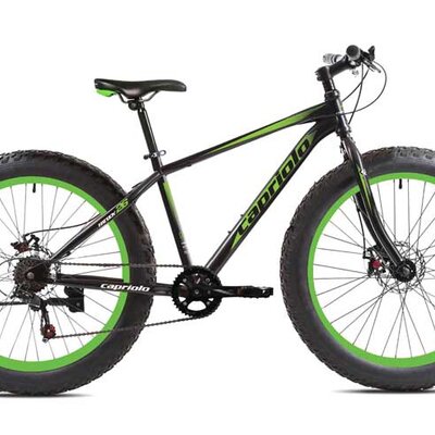 Bicikl Capriolo Fat Boy 26 917200-19