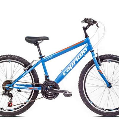 Dečiji Bicikl Capriolo Rapide 240 24/18HT 918301-13