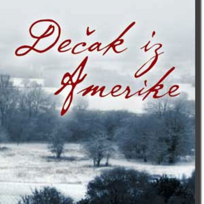 Dečak iz Amerike, Endru Tejlor