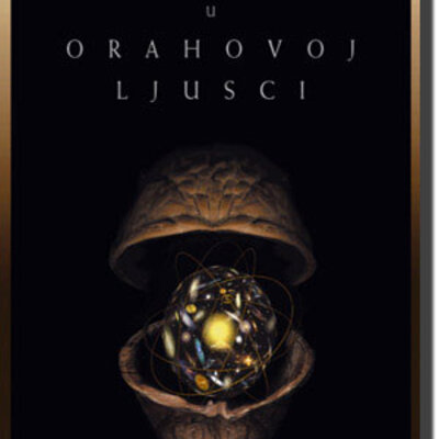 Kosmos u orahovoj ljusci, Stiven Hoking