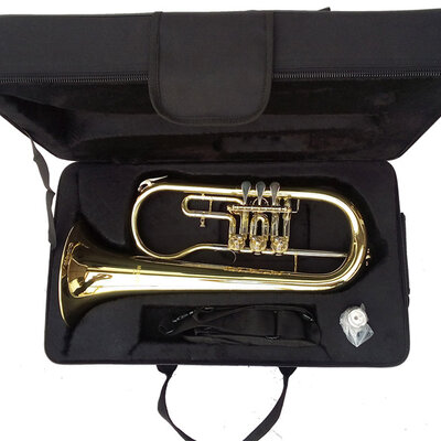 Moller Fligorna FH-819LR