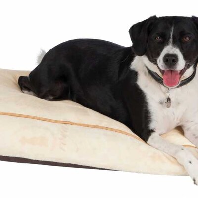 Ležaljka za pse King Of Dogs 70cm Trixie 37981