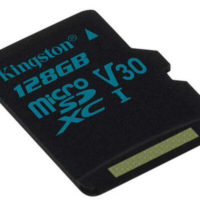Kingston Canvas Go! Memorijska kartica 128GB Micro SDCG2/128GBSP