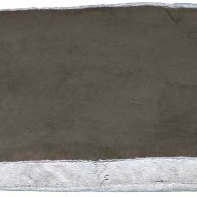 Prostirka za psa Best Of All Breeds 60cm Trixie 38371