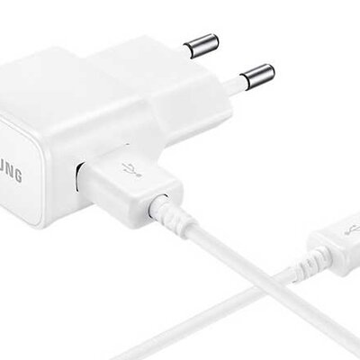 Samsung Zidni punjač Micro USB 2000mA EP-TA12-EWEU