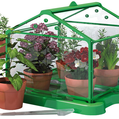 Mali Genije - Edukativna igra - Botanička bašta