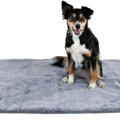 Termo prostirka za psa 75cm Trixie 28651