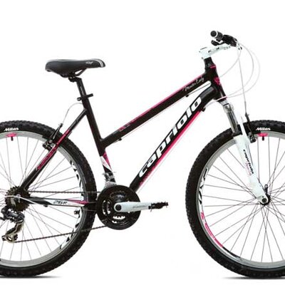 Bicikl Capriolo Monitor FS Lady 915448-19