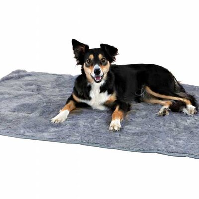 Termo ćebe za pse 150cm Trixie 28682