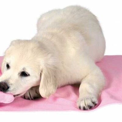 Trixie Prostirka - ćebence i peškir za štence pink 15587