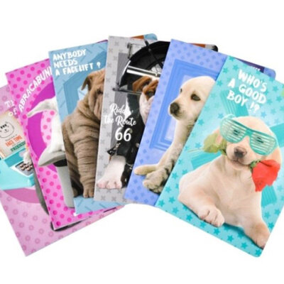 A4 Sveske na kvadratiće - pakovanje 10 komada Fuzzy Pets