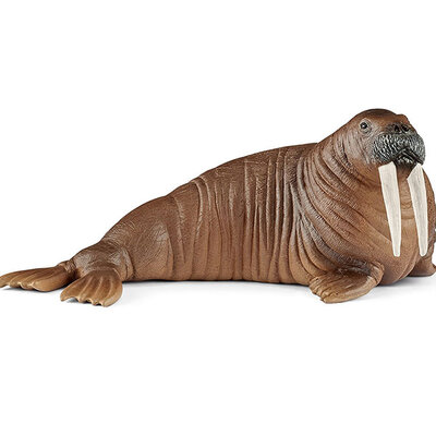 Schleich Figure Divlje životinje - Morž 14803