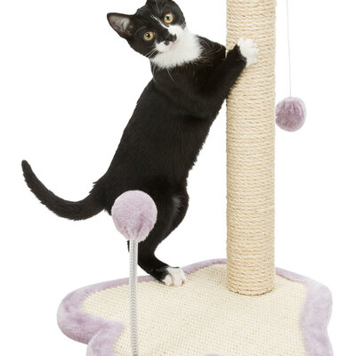 Trixie Grebalica za mačke sa postoljem Junior 42931