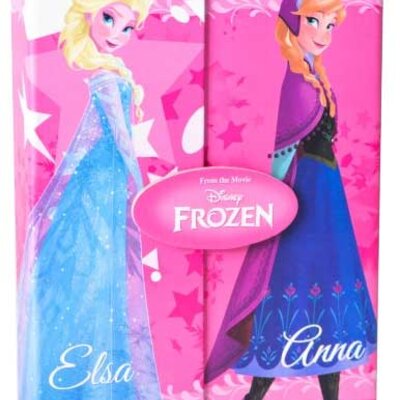 Dnevnik sa magnetom Frozen 322834