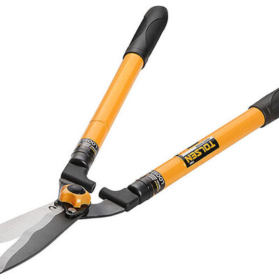 Tolsen Makaze za živu ogradu sa teleskopskim ručkama 31024